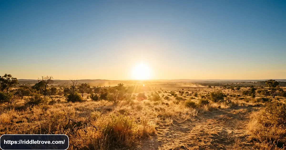 Create a premium editorial-style 16:9 image for a weather riddle article section about sunshine and hot weather. Show bright sunlight over a warm outdoor landscape with golden rays, a clear blue sky, dry grass, subtle heat shimmer, and a glowing sun near the horizon. Realistic natural details, crisp photography, balanced composition, and clean top-middle negative space for an H2 heading. No text, logos, watermark, or CTA.